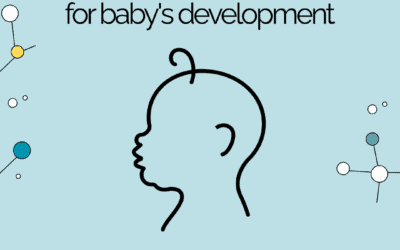 The Vagus Nerve’s Role in the Journey From Conception to Birth
