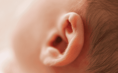 Ear Infections, Antibiotics, and Asthma: A “Perfect Storm”